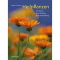 Heilpflanzen