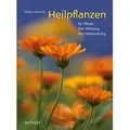 Heilpflanzen
