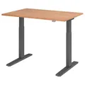 HAMMERBACHER VXMKA12/N/G elektrisch höhenverstellbarer Schreibtisch 70,0 - 120,0 cm - elektrisch nussbaum / grafit