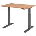 HAMMERBACHER XMKA12 elektrisch höhenverstellbarer Schreibtisch nussbaum rechteckig, C-Fuß-Gestell grau 120,0 x 80,0 cm