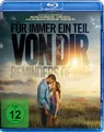 Für immer ein Teil von dir - Reminders of Him (Blu-ray)