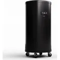 Klarstein Beersafe L Kühlschrank mit LED Display, Edelstahl-Kühlschrank für Zimmer, Indoor/Outdoor Getränkekühlschrank, Weinkühlschrank für ... - Schwarz