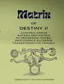 Matrix of Destiny II: Chakren-Karte, Aufbau der Matrix, 30 Programm-Codes, emotionale Alchemie, Transformative Fragen
