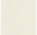 Rasch Vliestapete Das Beste (2025), 483505, Uni, 10.05 x 0.53 m, Beige, Creme
