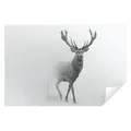 Wallarena Fototapete Hirsche Tier Schwarz-weiß Wohnzimmer Schlafzimmer Vlies Tapete, Premium Halbmatt Glatt Vlies, Hirsche, Tiere, Grau, (Packung, Vlies Fototapete), Fototapete Wohnzimmer Schlafzimmer - Vliestapete inklusive Kleister 1.5 m x 1.05 m