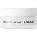 NICHE BEAUTY LAB Transparent Lab Overnight Restoring Lip-Treatmen