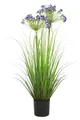 artplants Deko Agapanthus BIBIANKA, blau, 80cm