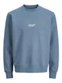 JACK & JONES Jjesoho Sweat Crew Neck Noos