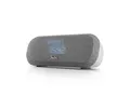 Teufel RADIO ONE Internet-Radio (Bluetooth-DAB/FM-Radiowecker, 20 W)