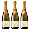 Bouvet Trésor Vintage Saumur Brut AOP - Schaumwein - Im Eichenfass ausgebaut - Chenin Blanc Chardonnay – Feinschmeckerwein - 3 x 0.75 L