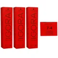 Schwarzkopf Igora Royal 3 x 60 ml 7-4 mittelblond beige Haarfarbe Cremefarbe Set