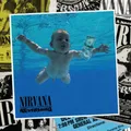 Nirvana Nevermind (Vinyl) Super Deluxe  12" Album Box Set