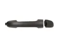 BLIC 6010-20-045402P Türgriff Für HYUNDAI