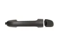 BLIC Türgriff 6010-20-045402P für HYUNDAI