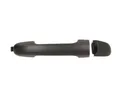 Blic 6010-20-045402P Türgriff für HYUNDAI