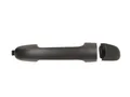 BLIC 6010-20-045402P Türgriff für HYUNDAI