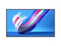 Philips 43BDL3650Q/00 LED-Monitor (3840 x 2160, 8 ms Reaktionszeit, 60 Hz, IPS Panel)