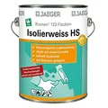 Kronen Isolierweiss 123 HS Isolierfarbe 750 ml