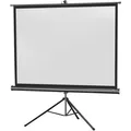 Celexon Eco Stativ, Leinwand, 4:3 (77.56", 4:3) (1090258)