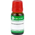 Rhus Toxicodendron Lm 3 10 ML