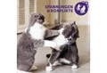 Feliway Katzenstreu FELIWAY® Optimum 3x30 Tage Vorteilspack