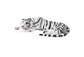 TE-Trend Kuscheltier Weißer Tiger 70 cm XXL Plüschtier Stofftier (liegend), Wohnliches und Dekoratives Plüschtier