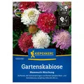 Kiepenkerl Saatgut Gartenskabiose Mammuth Mischung