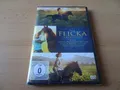 DVD Box Die Flicka Collection - 3 Filme - NEU/OVP