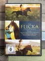 📀 2 DVD Set 3 Filme Die Flicka Collection Pferde Kinder Klassiker+ Sonderausst.