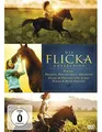 DVD Flicka - Freiheit. Freundschaft. Abenteuer/Flicka 2-Freunde für