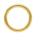 Wildcat Piercingringe - Hinged Ring aus Titan Grad 23, Körperstelle: Ohr, Lippe, Nase, Bauchnabel, Stärke: 1,6mm| Durchmesser: 10,0mm, Gold