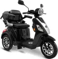 Rolektro Elektromobil Rolektro E-Trike 25 V.3, Lithium Akku, 1000 W, 25 km/h, (mit Topcase)