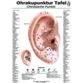 Ohrakupunktur-Tafel - chinesische Punkte / Hawelka Verlag / Sonstige