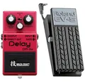Boss DM-2w Delay Waza + EV-5 Expression Pedal