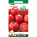 SAMEN PFANN Buschtomate Hoffmanns Rentita