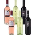 6er Probierpaket "Klassiker von Lenotti"