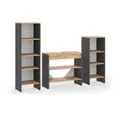Vicco Badmöbel-Set Karli, Anthrazit/Goldkraft Eiche, 3 Teile