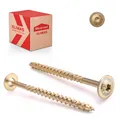 Tellerkopfschrauben 6 8 10  Holzbauschrauben Tellerkopf Holz Schrauben Torx WKCP