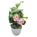 Briful Künstliche Zimmerpflanze Kamelie Kunstpflanze Camellia Japonica im Kunsts