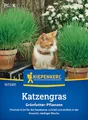Kiepenkerl Katzengrassamen Frischgrün Mischung 1073301 - frisches Grün - schnell und einfach - niedriger Wuchs - Gräser, Pflanzensamen, Saatgut