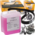 CONTI ZAHNRIEMEN-SATZ+G12 EVO für AUDI A4 B6 B7 + A6 C5 + VW PASSAT 3B 2.0 ATL