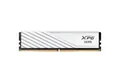 ADATA ADATA DIMM 16 GB DDR5-6400, Arbeitsspeicher Arbeitsspeicher