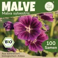 Little Plants BIO Malve Samen 100 Malvesamen Violett Blumensamen für Blumenkübel Samenfest Blumen Samen für Balkon und Garten