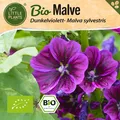 Malve Samen (BIO) - 100 Samen Blumensamen Malvesamen Mauretanisch