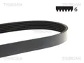 TRISCAN Micro-V Keilripriemen für Ref. 6Pk1750 8640 601750e