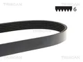 Keilriemen TRISCAN 8640 601750E