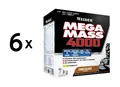 6 x Weider Mega Mass 4000 (7000g) Chocolate (18,57 EUR/kg)