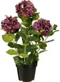 Mica Decorations Kunstpflanze Hortensie im Topf violett Ø 40 x 65 cm