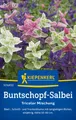 Buntschopfsalbei  Tricolor Mischung Bienenweide zum Schnitt ca. 80 Samen