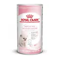 Royal Canin Babycat Milk | 300 g | Milchaustausch-Futtermittel für Katzenwelpen | Von der Geburt bis zur Entwöhnung (0-2 Monate)| Für ein harmonisches Wachstum